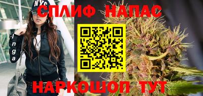 a pvp Ачхой-Мартан