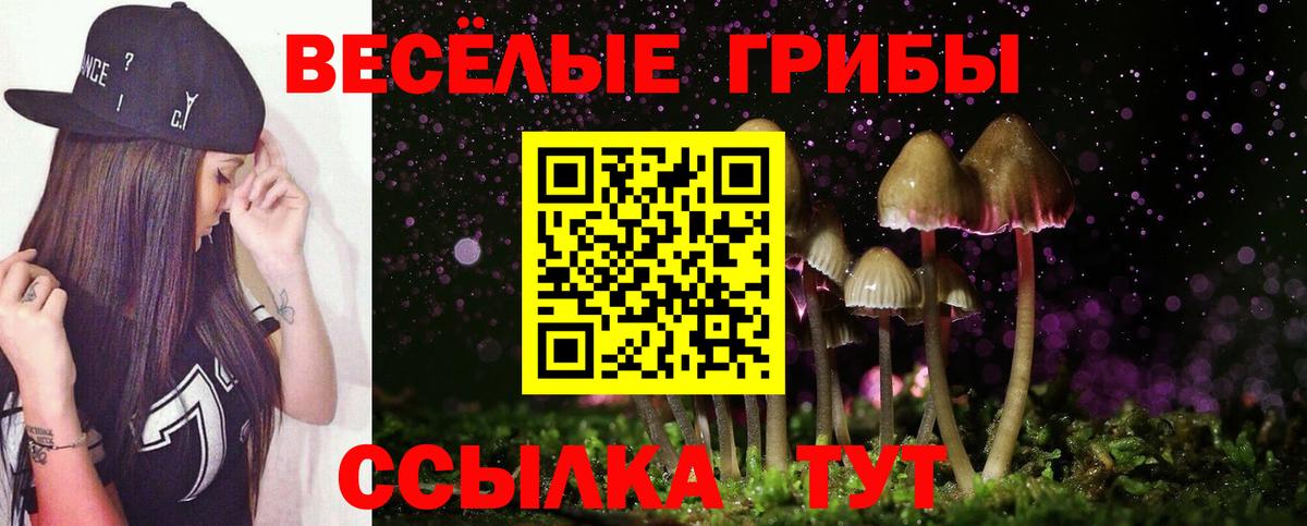 Галлюциногенные грибы прущие грибы Приморско-Ахтарск
