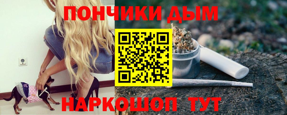 Бошки Шишки семена Приморско-Ахтарск